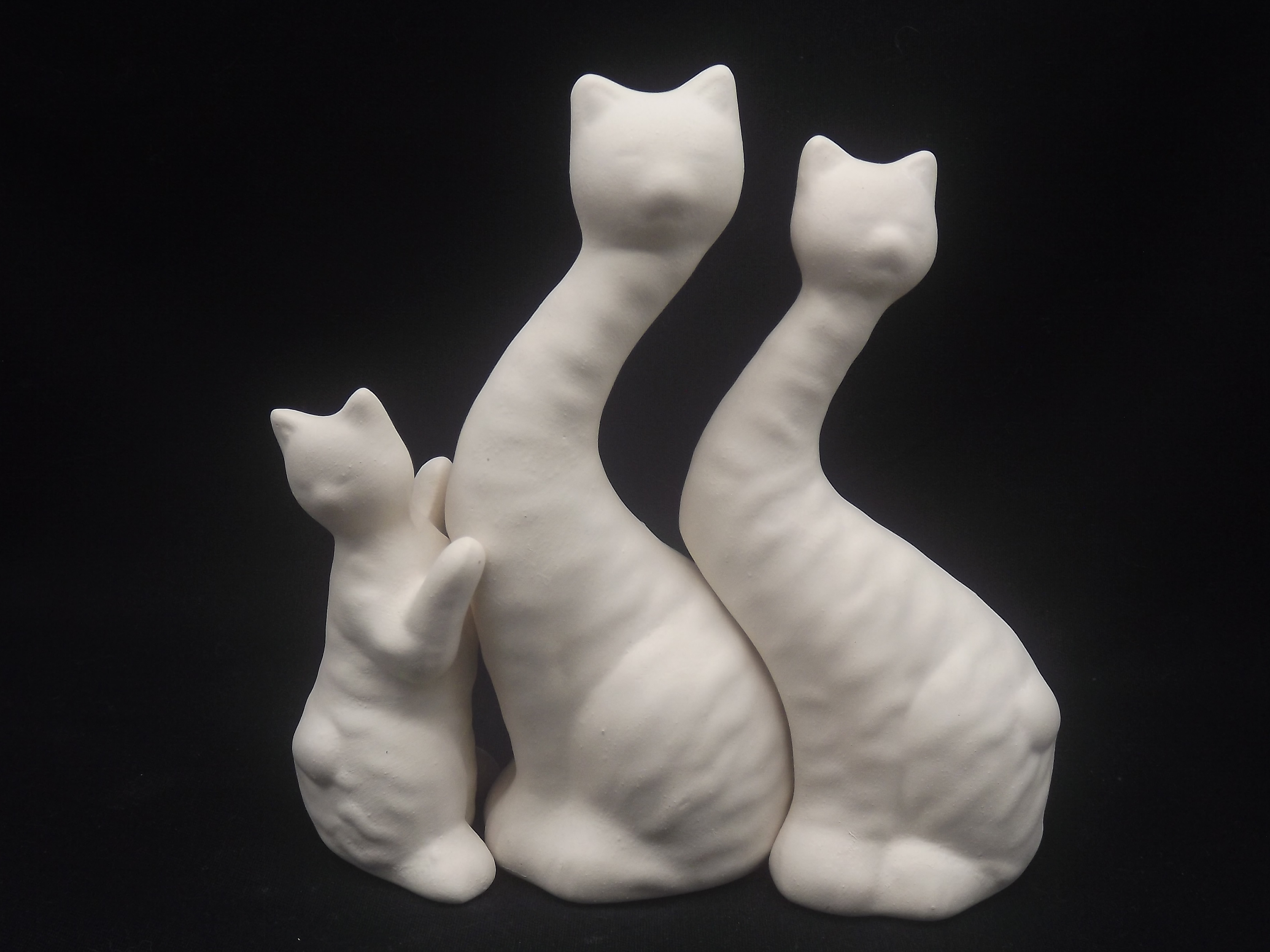 Trio Gato Abraçado